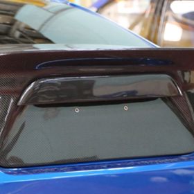 PRS Carbon Fiber Rear Garnish