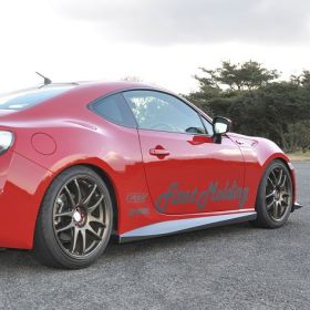 First Molding Side Steps