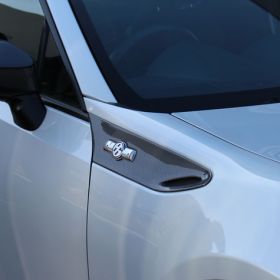 Second Stage Fender Garnish 